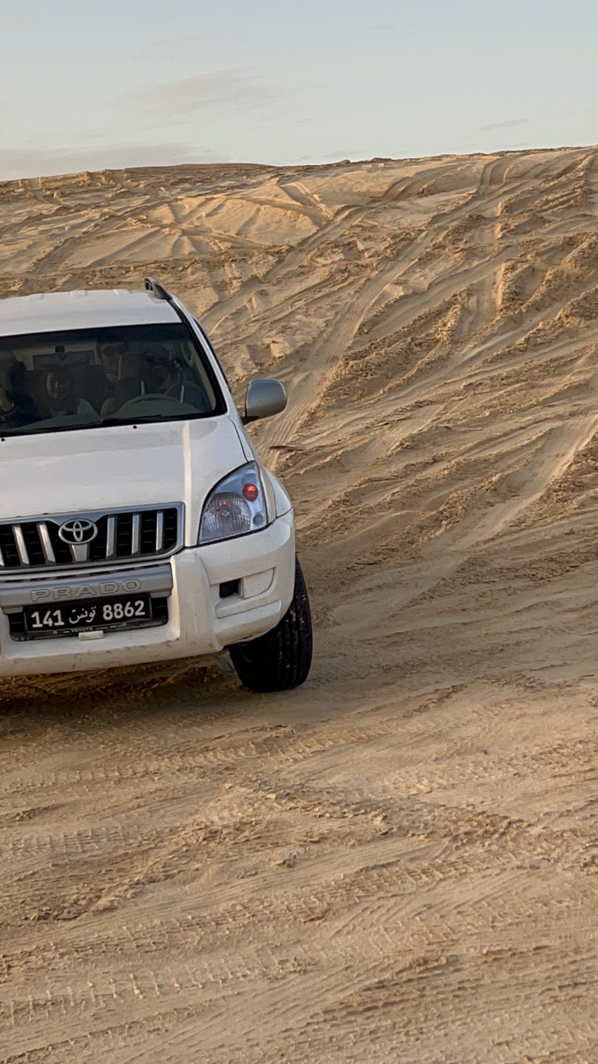 Tunisia tour experience