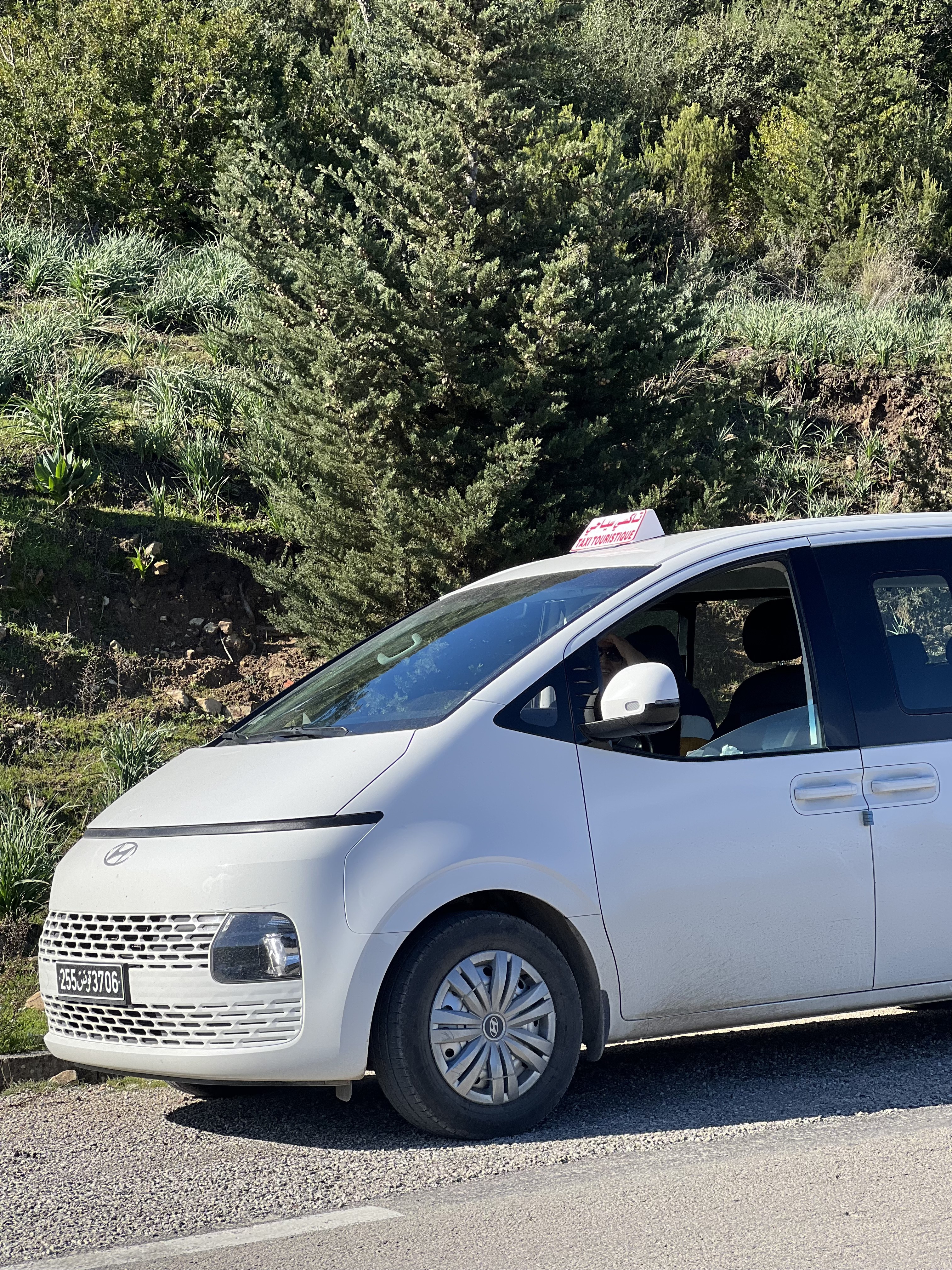 Tunisia tour experience